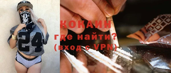 гашик Алзамай