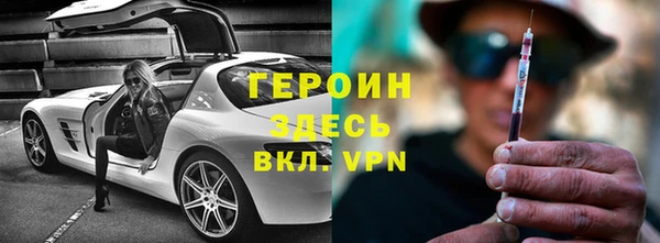 гашик Алексин