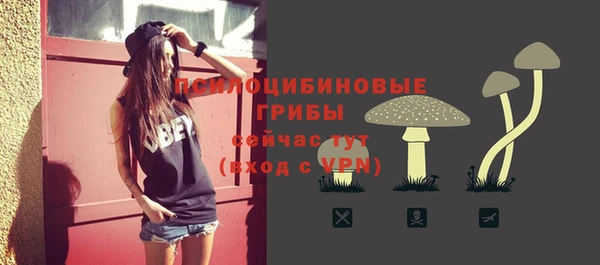 гашик Алексин