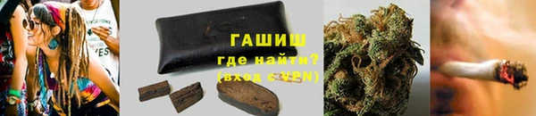 гашик Алексин