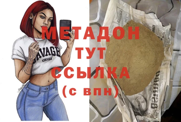гашик Алексин