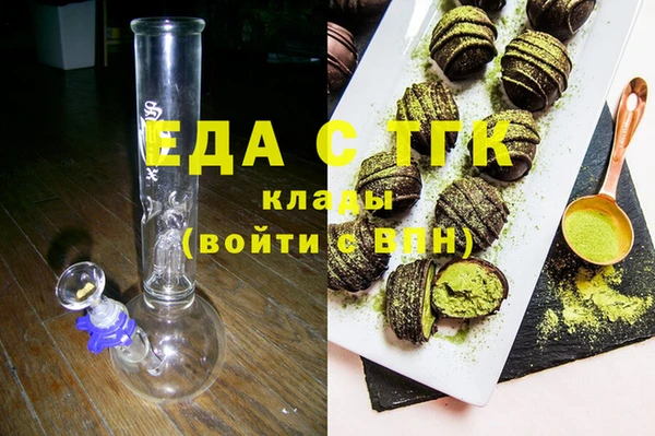 гашик Алексин