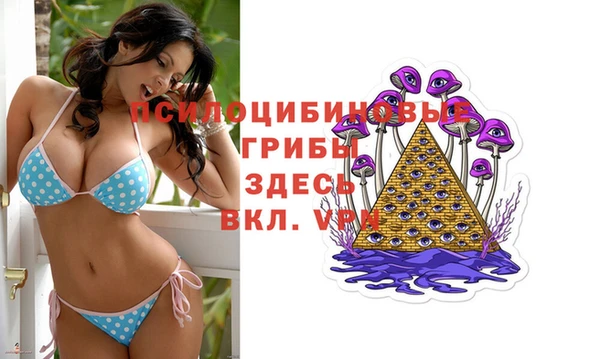 гашик Алексин