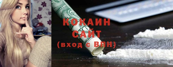 гашик Алексин