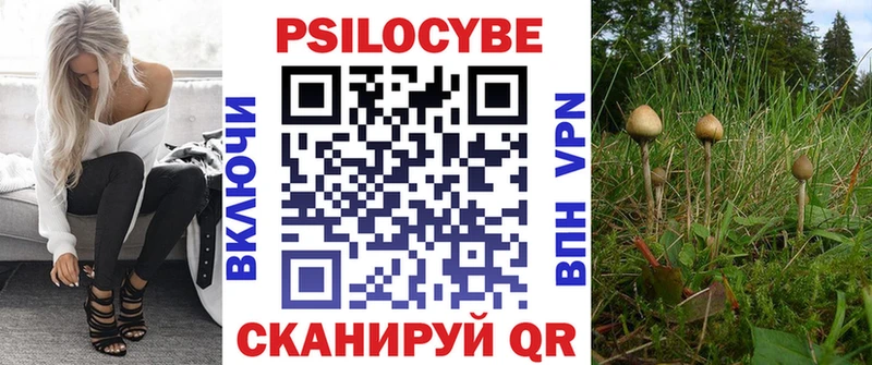 Галлюциногенные грибы MAGIC MUSHROOMS  сколько стоит  Кадников 