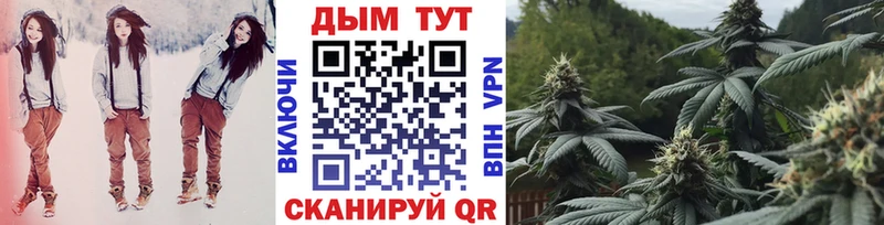 Шишки марихуана семена  blacksprut зеркало  это телеграм  Кадников 